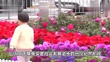 多地将向二孩、三孩家庭发放补助，不愿生育的青年会改变想法吗？