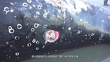 鲸鱼爆炸瞬间，威力堪比原子弹，网友：这是个有味道的视频！