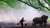 繁华一世非吾愿，何时归隐山水间，乡愁童年怀念青春