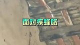 该说不说啊，这礼还挺沉重