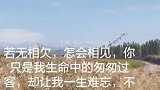 因为懂得、所以珍惜。所以沉默