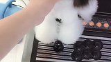 我不止一面