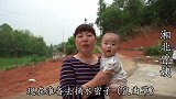 今天立夏了，曾姨去田里摘回这种野菜，和糯米做成美味，寓意深刻