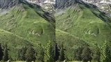 瑞士阿尔卑斯山上的美景，一个海拔一个景色，鸟语花香让人沉醉