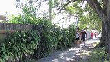 树人恐吓恶作剧，男子伪装成树人恶搞路人，路人非常害怕