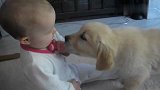 小宝宝第一次见到小奶狗，一娃一狗都高兴坏了，场面瞬间萌翻了