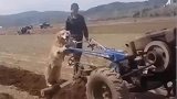 听我说谢谢你，因为有你温暖了四季
