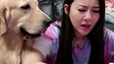 利妈教宾利数学题，看她说了什么被百威一顿吐槽，你们忍住别笑