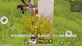 吃鸡空投砸脸了