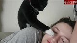 小猫咪：让我来看看你咋啦，摸摸瞧瞧！