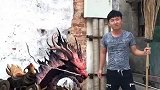 随便画个龙出来耍耍