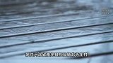 河北1家5口被邻居杀害，家属称曾因侵占公有过道争吵，当地回应