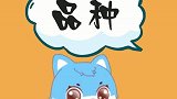 猫咪眼睛颜色多样性。