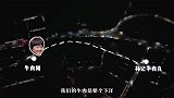 大姐采取新鲜的牛肉，看到取食材的过程，着实吓人