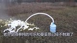 将碳酸饮料和曼妥思倒在地下会有什么反应结果场面太硬核了