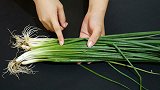 保存香葱原来这么简单，学会这一招，放一年都翠绿又新鲜，超实用