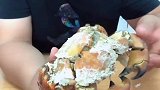 吃货吃肥肥的面包蟹，和吃手撕面包一样，任性啊
