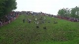无敌风火轮！英国翻滚奶酪比赛现场“惨烈” 冠军臂膀骨折也开心