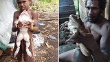 所罗门群岛：村民发现一只1公斤重青蛙，体格大小像人类婴儿