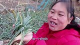 胖妹做个农家一碗香，这菜超下饭，米饭算是遭了殃！