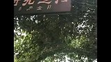 今日带你去丽江千古情，震撼的表演和有趣的游戏