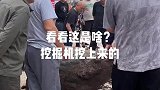 石龟出现了，老板直接停止施工