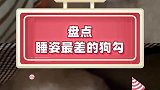 所以那到底是前腿还是后腿？家有傻狗动物的迷惑行为