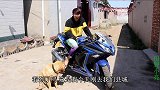 小伙花3万买了辆摩托车，带上金毛去路上兜风，大家看这车值吗？