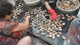 丹东海鲜早市鲍鱼卖两块五，回家当咸菜拌着吃，看味道咋样