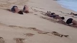 一群35岁的男人在海滩上做着奇怪的动作