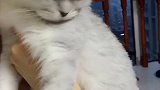 玩转摩托音
