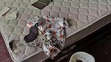 房子没出租却有人住 民警去看大吃一惊：有个女人悬空挂在26楼