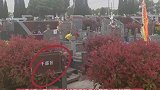 公墓设“干部区”,“官本位”与特权意识“玩”出新高度