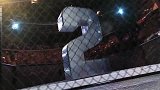 UFC-15年-五大格斗之夜79首尔站媒体日精彩时刻-专题