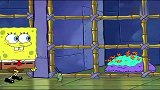 海绵宝宝：痞老板要养宠物，派大星也在宠物收容所？看起来好憨哦
