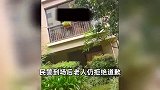 女子小区草地遛狗，遭楼上老人泼水抛玻璃杯，报警后老人仍拒绝道歉