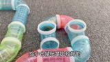 仓鼠玩彩色迷宫游戏，猫咪在旁边守着，可爱