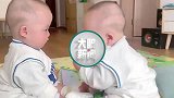 个月婴儿说英文,双胞胎对坐着并进行,无障碍,沟通,太治愈了