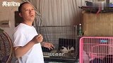 流浪猫妈妈意外怀孕，生出七只不一样的猫宝宝，长得都太有特点！