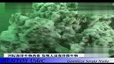 国际海洋生物普查 发现大量海洋微生物