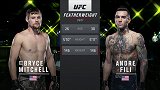 UFC格斗之夜181主赛：安德烈-费里VS布莱斯-米切尔