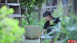 李子柒花式吃豌豆
