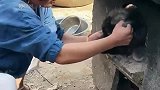 这狗子真搞笑，天天往火坑里钻，就不怕有一天给烧熟了