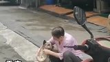 来自奶奶的爱，狗子一脸拒绝和无奈