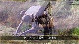 河边发现奇怪生物，行动缓慢有气无力，都认为是水鬼