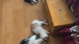 吃完饭，都躺下开始午休了