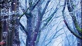 创作灵感   虽不记得下雪的句子，却记的你的名字和初雪的样子。