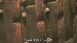 考古队花7年找到古葬，却发现已经被盗，但在墓中发现无价之宝！