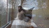 猫天生斗鸡眼被遗弃，好心夫妇收养后，发现它真是一个大宝藏