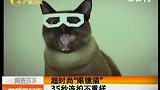 超时尚“眼镜猫” 35秒连拍不重样